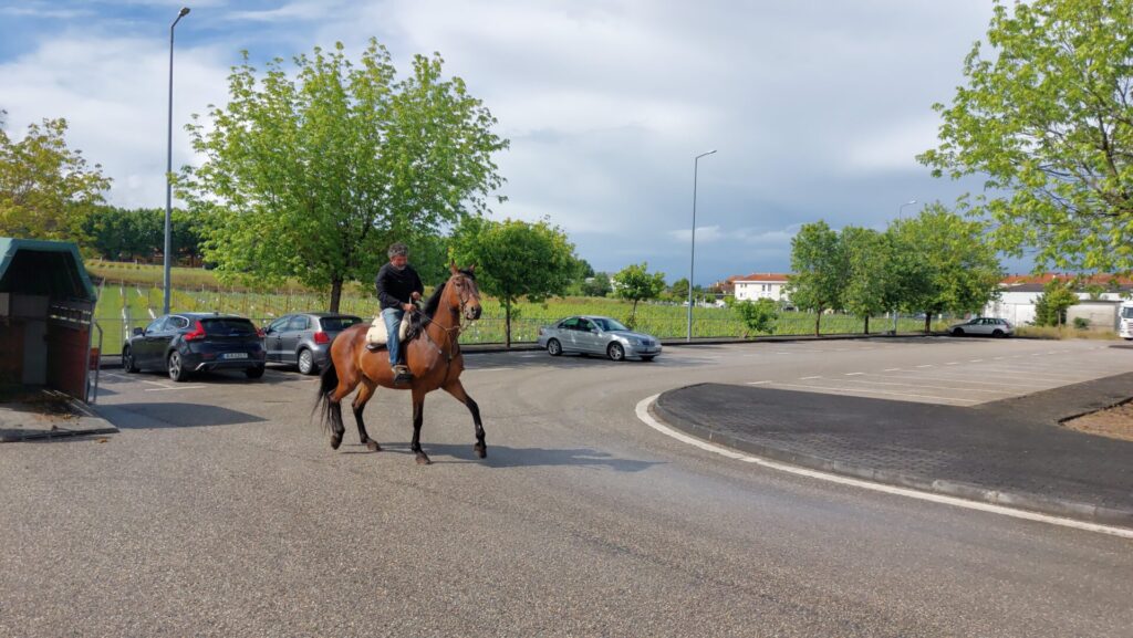 Duas semanas depois, a mais completa foto-reportagem da 11ª Mostra do Clube Tex Portugal