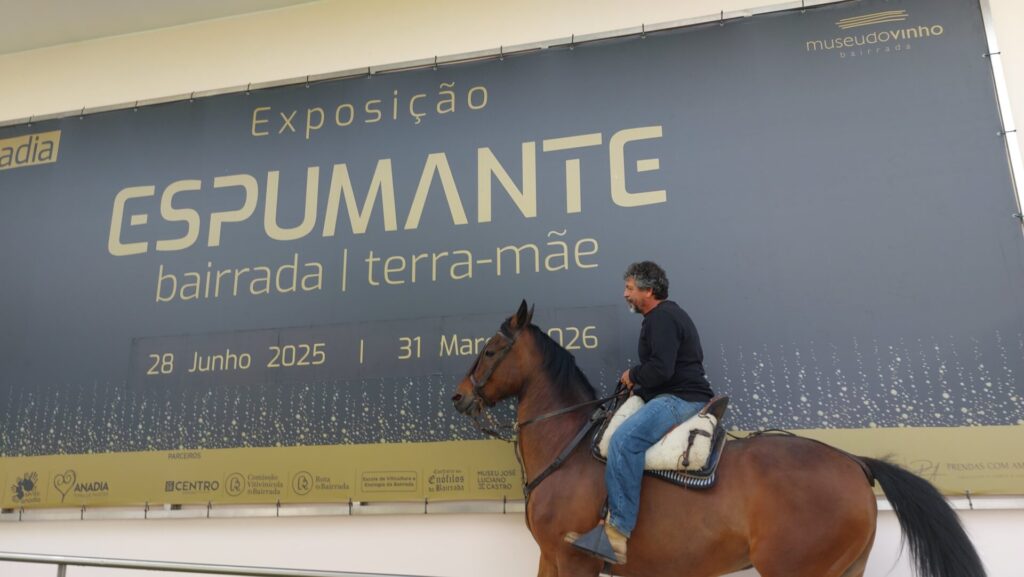 Duas semanas depois, a mais completa foto-reportagem da 11ª Mostra do Clube Tex Portugal