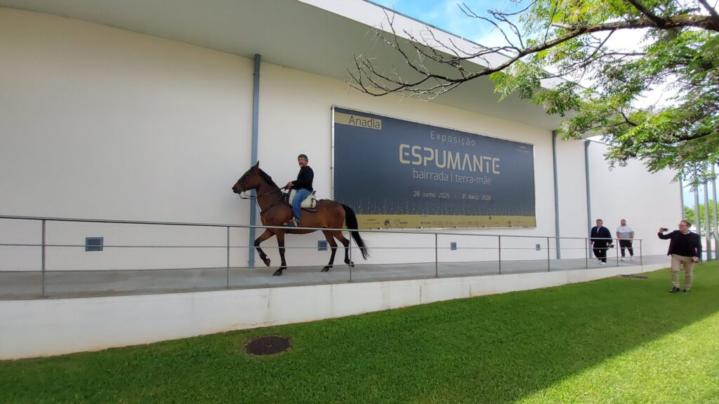 Duas semanas depois, a mais completa foto-reportagem da 11ª Mostra do Clube Tex Portugal
