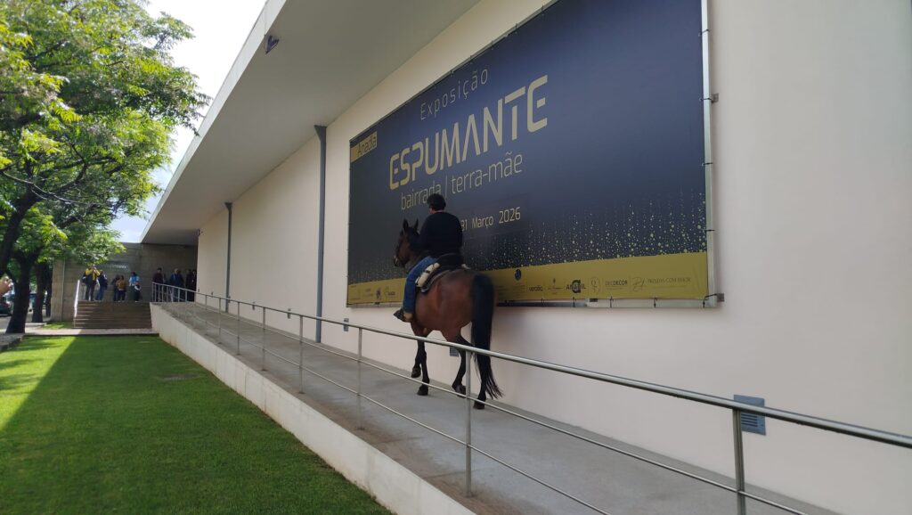 AUTORES, FÃS E COLECIONADORES ESTIVERAM EM ANADIA NA 11ª MOSTRA DO CLUBE TEX PORTUGAL